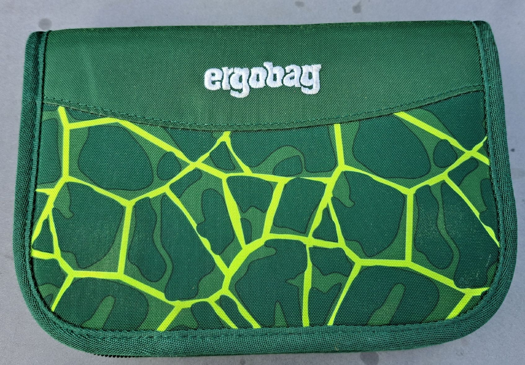 Ergobag Borse & Zaini: Ergobag Schulthek mit Zubehör – Usato da Gränichen venduto da babs_01 1