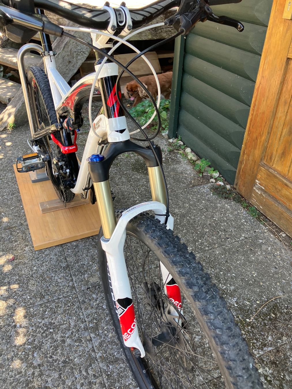 Specialized Biciclette: Specialized Camber – Usato da Düdingen venduto da Campero 5