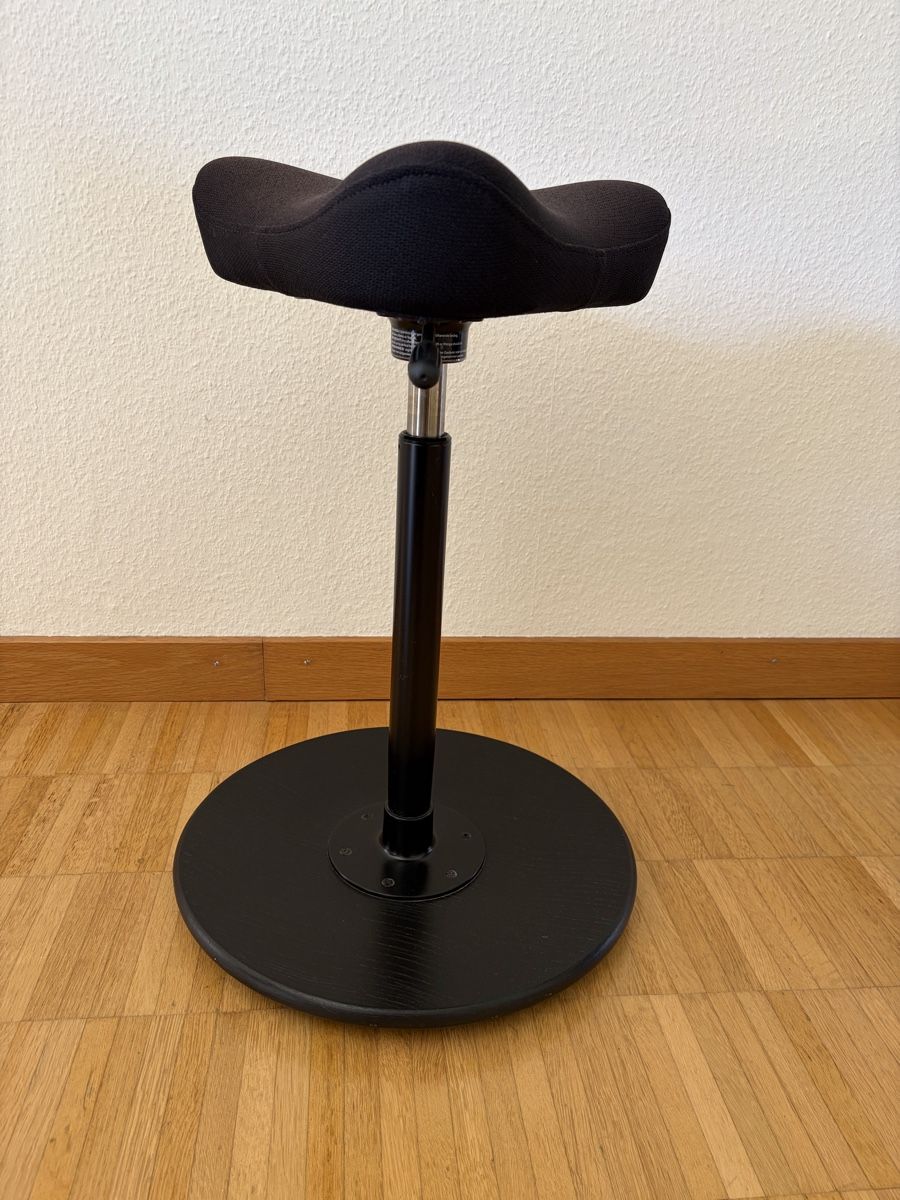 Varier Sgabelli: Varier Move Sattelhocker, schwarz – Usato da Zürich venduto da Minixxs