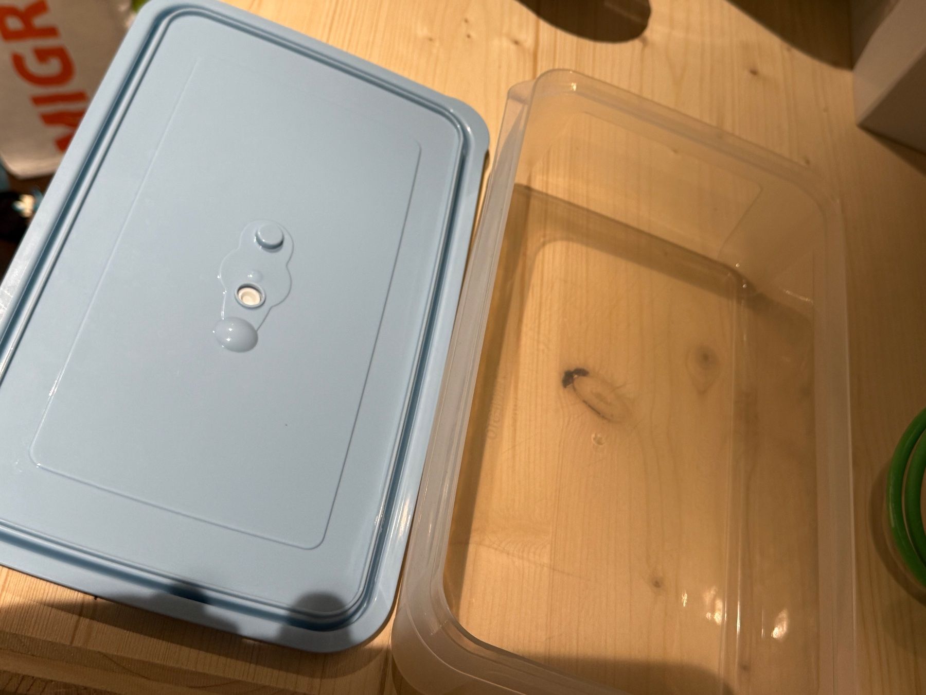 Contenitori & Simili: Plastikbehähleter Rechteckig Dose hellblauer Deckel – Usato da Schwadernau venduto da Daniela_0811 2