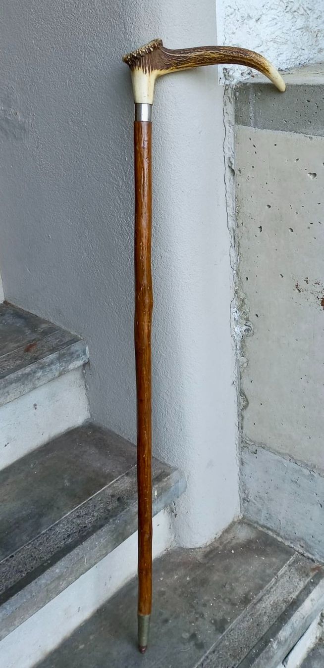 Altro in Antiquarato & Arte: alter Spazierstock Studentenverbindung – Usato da Burgdorf venduto da glasrabe01 3