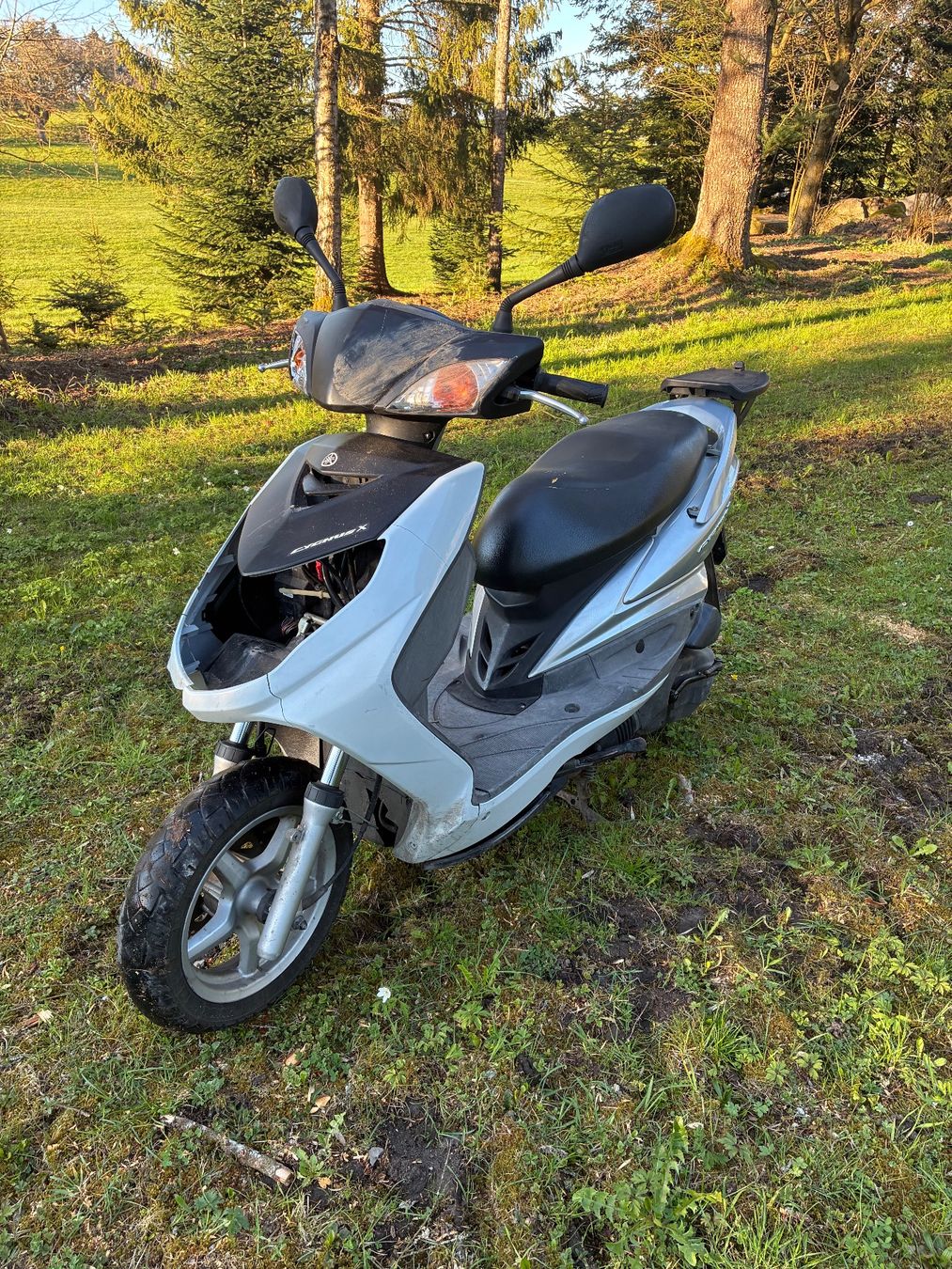 Yamaha Scooters: Yamaha xc 125 – Gebraucht aus St. Gallen von MarkoBoss 3