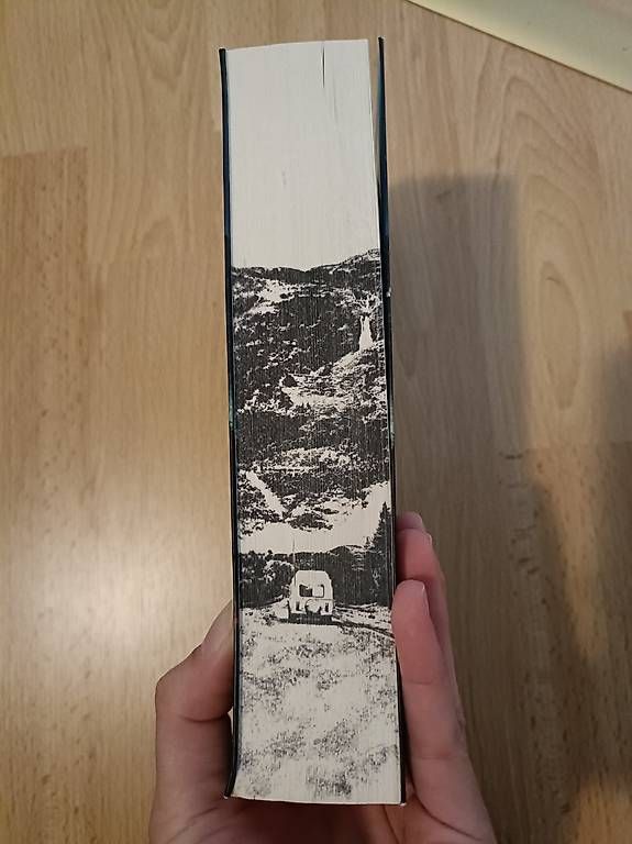 Livres: Die Wildnis - Sarah Pearse – D'occasion à Sissach par jgt_6k76 1