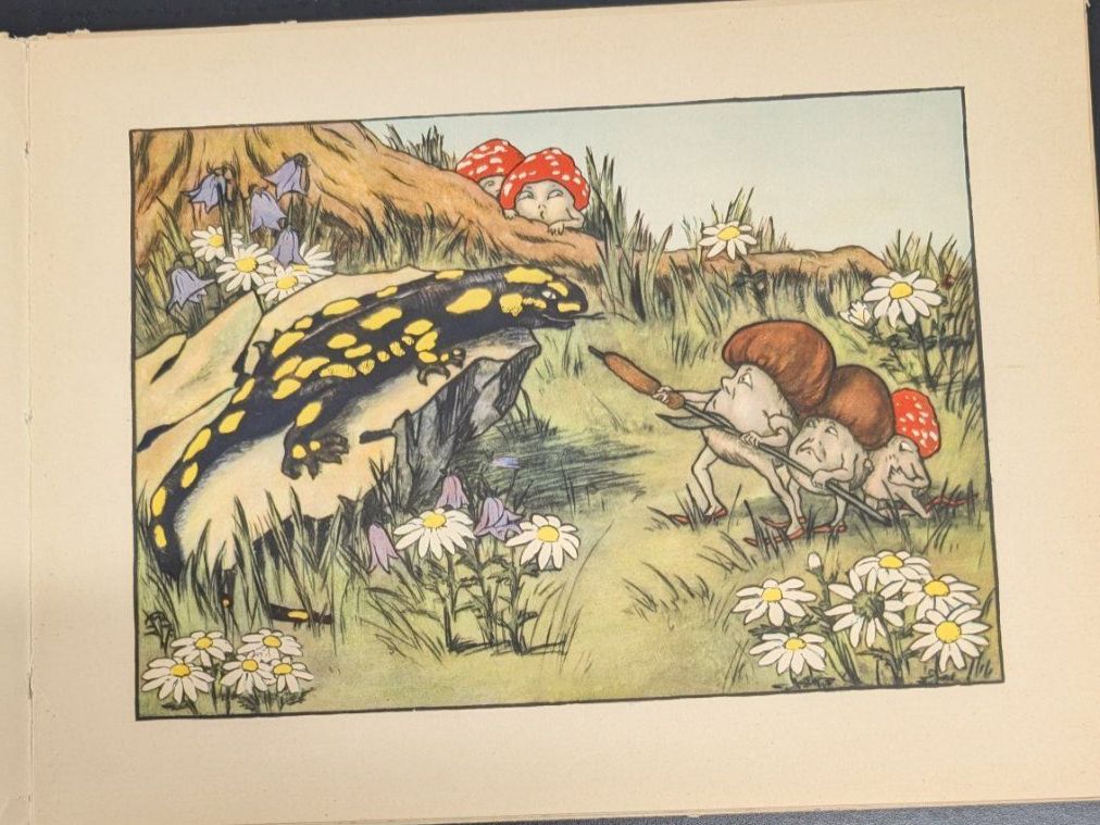 Livres: Die Wunderwiese. Bilder: Mathilde Ritter, Text : Adolf Holst – D'occasion à Mönchaltorf par Blechfreund 5
