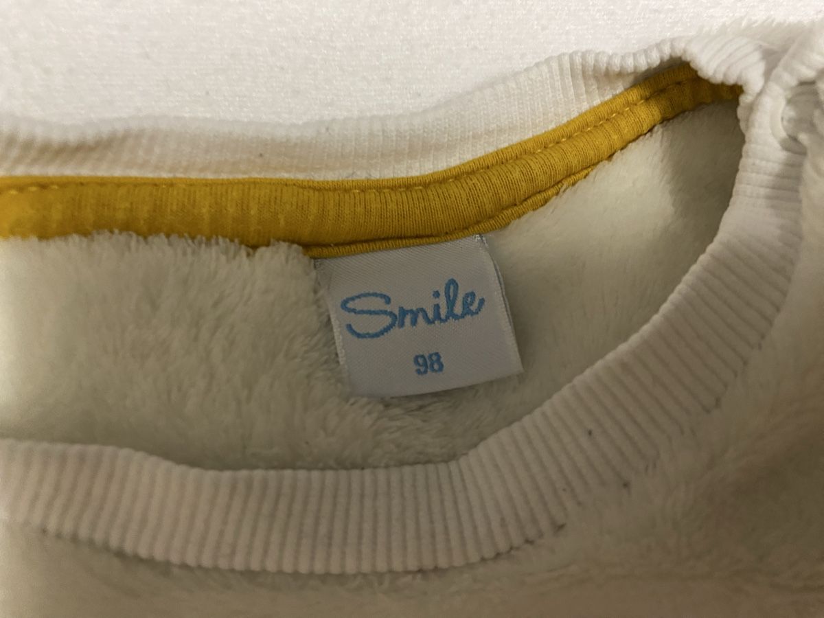 Maglioni & Felpe: Winterpullover in Grösse 98 – Nuovo (secondo la descrizione) da Sissach venduto da SV-650 1