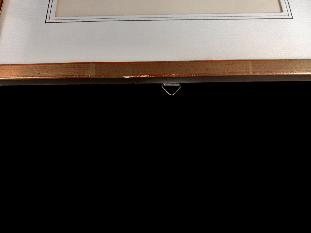 Foto & Immagini: Blumenbild in Bilderramen – Usato da Hünenberg venduto da Restwert_Zug 4