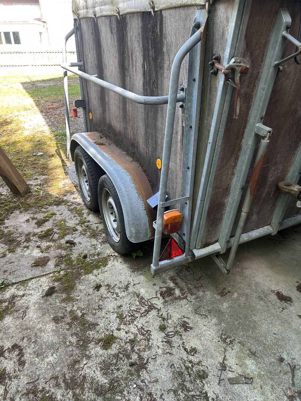 Rimorchi: Pferdetransporter – Usato da Berneck venduto da burghuegel68 4