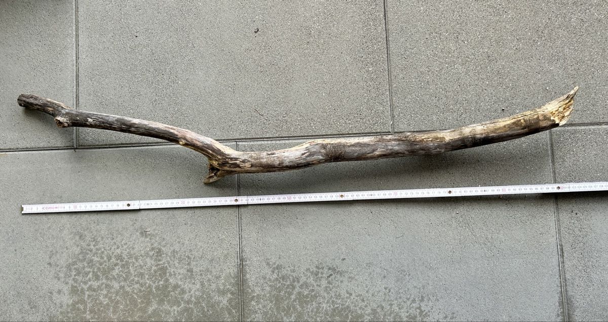 Articoli in legno: Schwemmholz Ast 102 cm lang – Nuovo (secondo la descrizione) da St. Urban venduto da uschi73