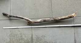 Schwemmholz Ast 102 cm lang
