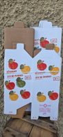 Bag in Box Karton 10L
