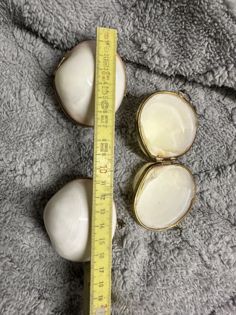 Tutte le decorazioni: Antike Pillendose Muscheln  – Usato da Oberentfelden venduto da vilibrand 8