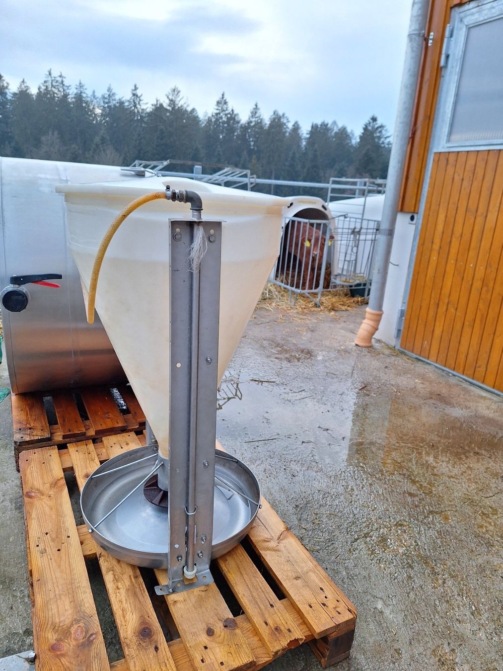Mangimi: Futterautomat Ferkelautomat Suevia – Usato da Ufhusen venduto da Caliban86 1