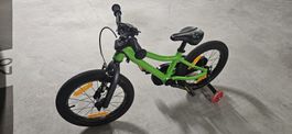 scott Roxter 16"