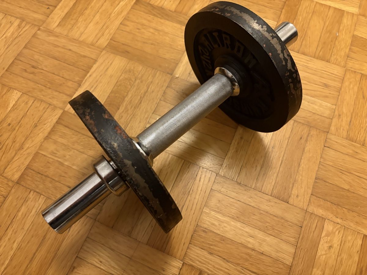 Manubri & Pesi: Hantel 7.1 kg – Usato da Windisch venduto da mister_sp