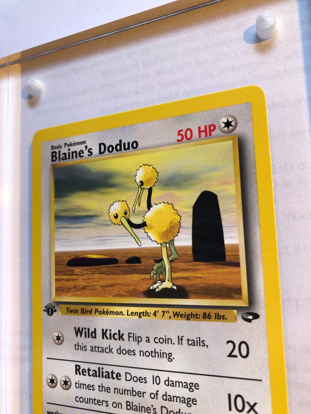 Carte collezionabili: Blaine's Doduo 1st Gym Challenge - MINT - ab 1.- – Usato da Giubiasco venduto da dan_pr8b 3