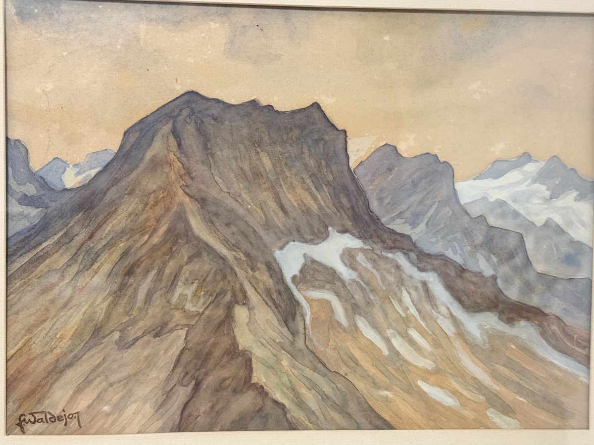 Tableaux: F. Waldejo - Gemälde  – D'occasion à Solothurn par NUVICO 5