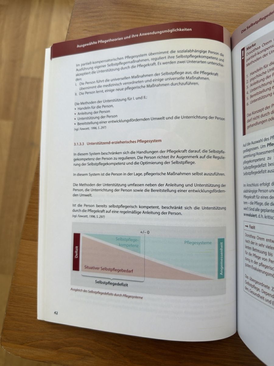 Libri: Pflegewissenschaft – Nuovo (secondo la descrizione) da zürich venduto da may_yj9f 5