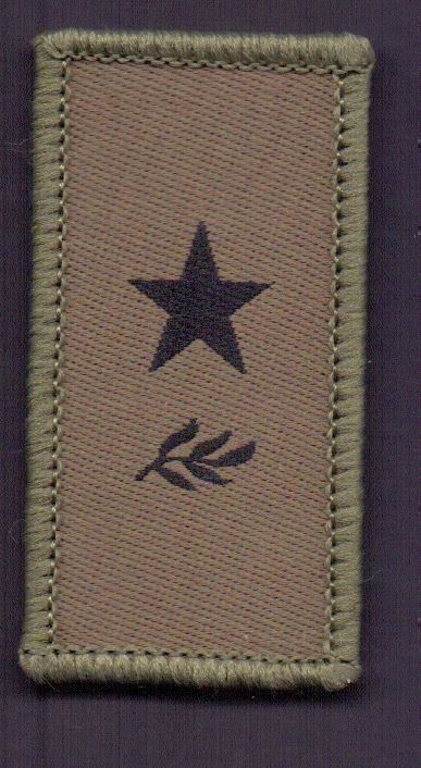 Schweizer Armee Placchette & Badge: Militärischer Nachrichtendienst Klett – Usato da Koblenz venduto da Himmelsreiter