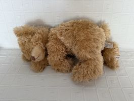 Schlafender Teddybär