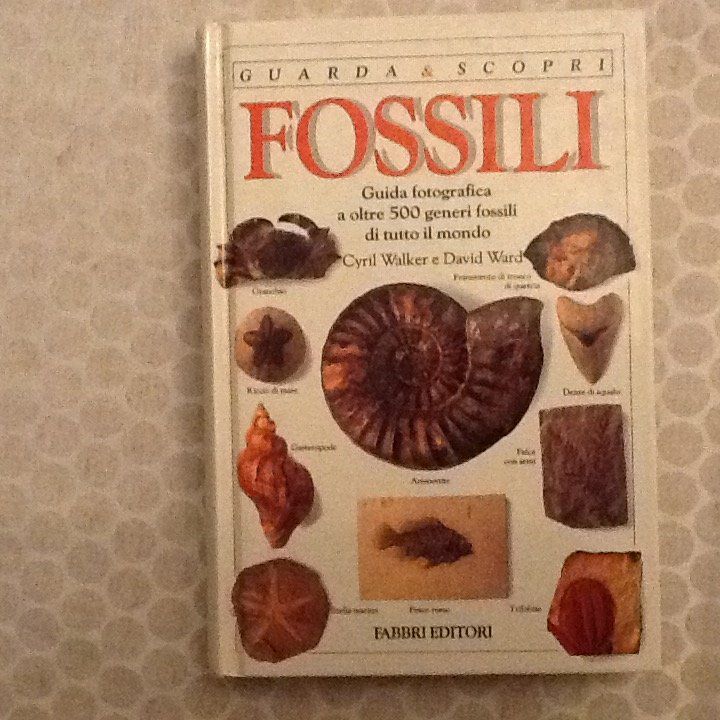 Libri: Fossilien (Museum Italien) – Usato da Olten venduto da smiples