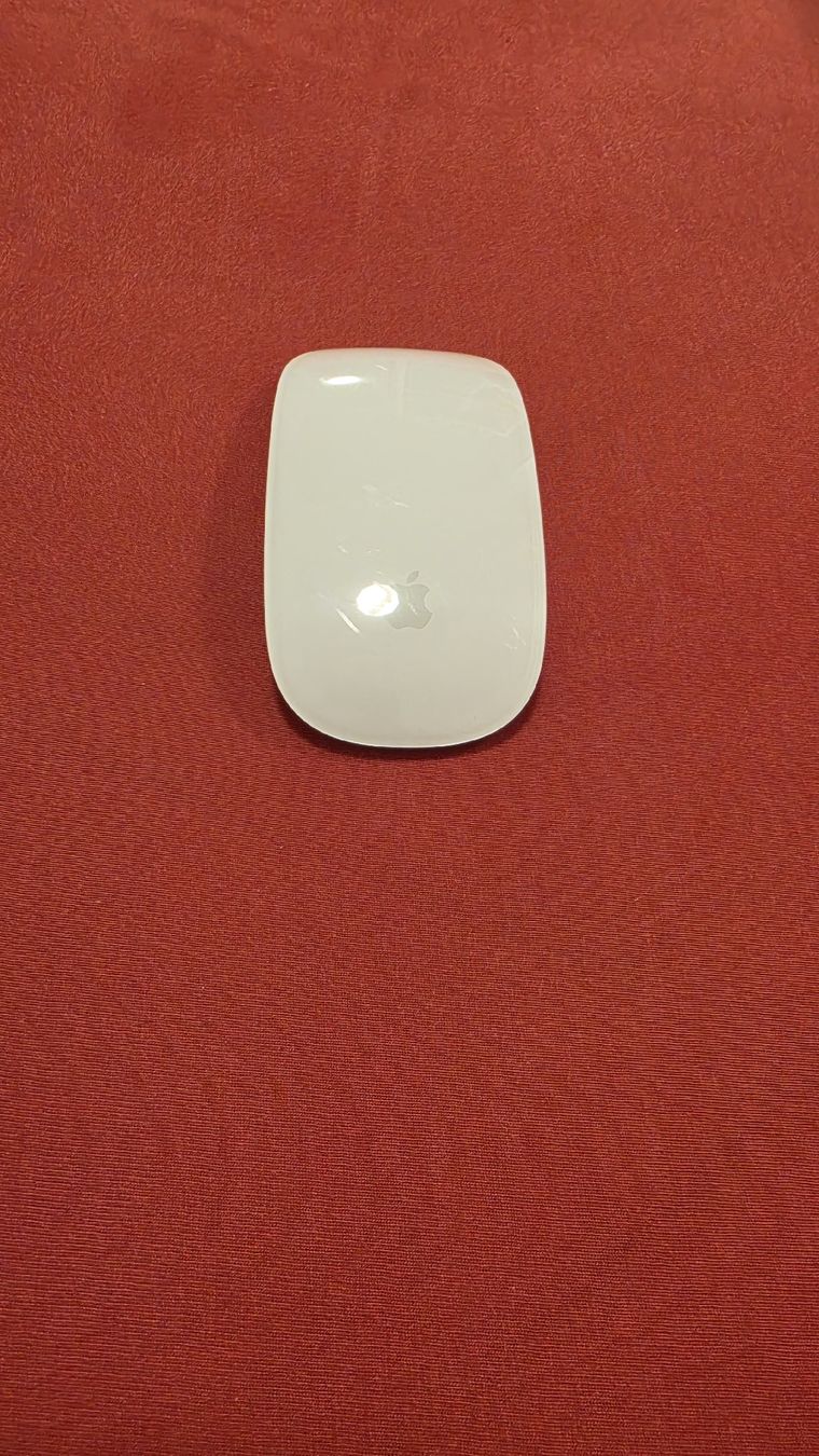 Apple Maus: Magic Mouse Apple – Gebraucht aus Zug von SZC. 1