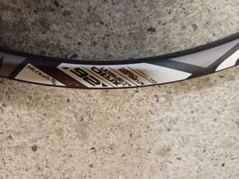 DT Swiss 26 Zoll Carbongelge Disc