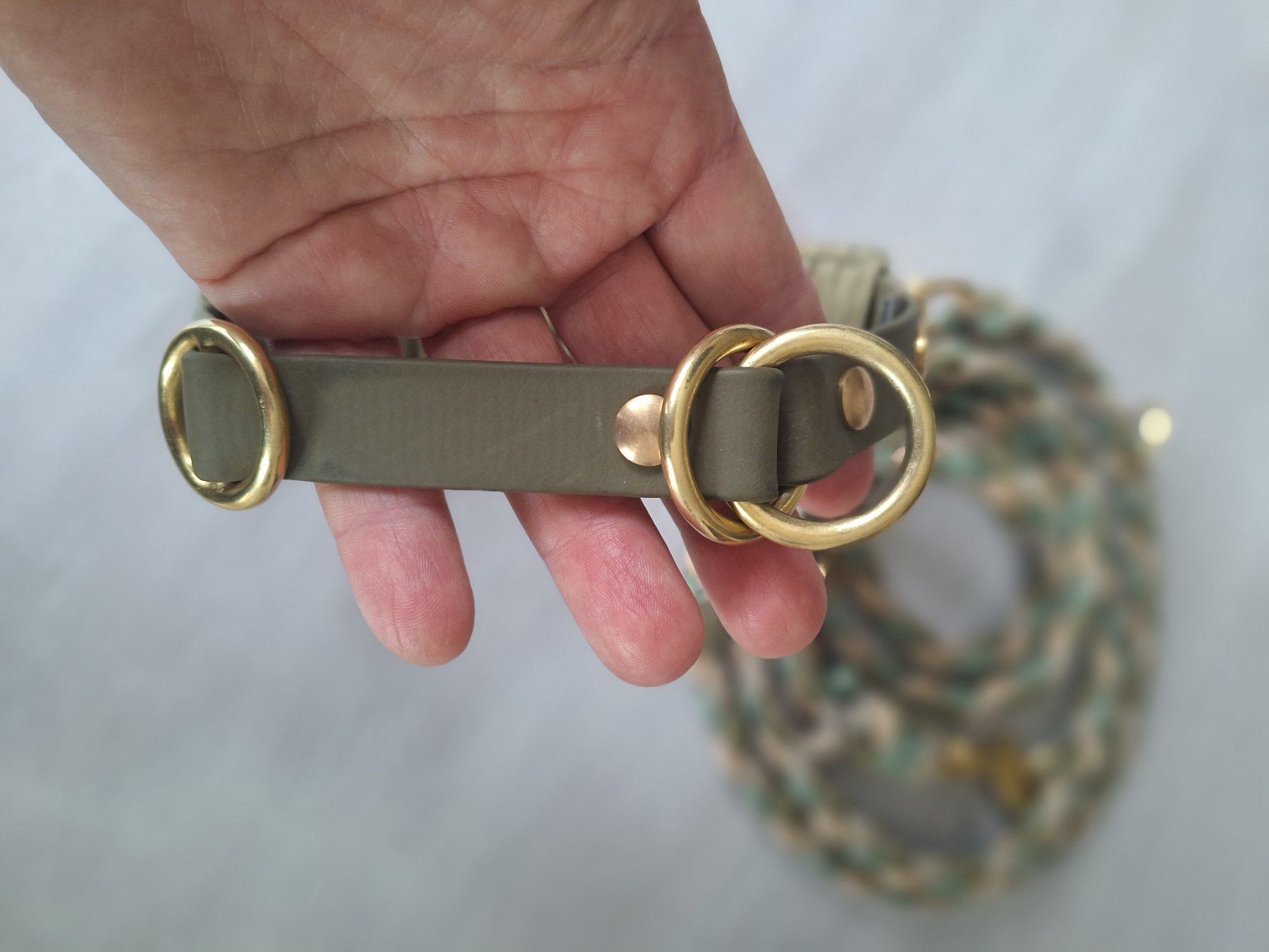 Guinzagli & Collari: Traumhaftes Halsband-Leine-Set! – Usato da Schmerikon venduto da Mycheyenne 3