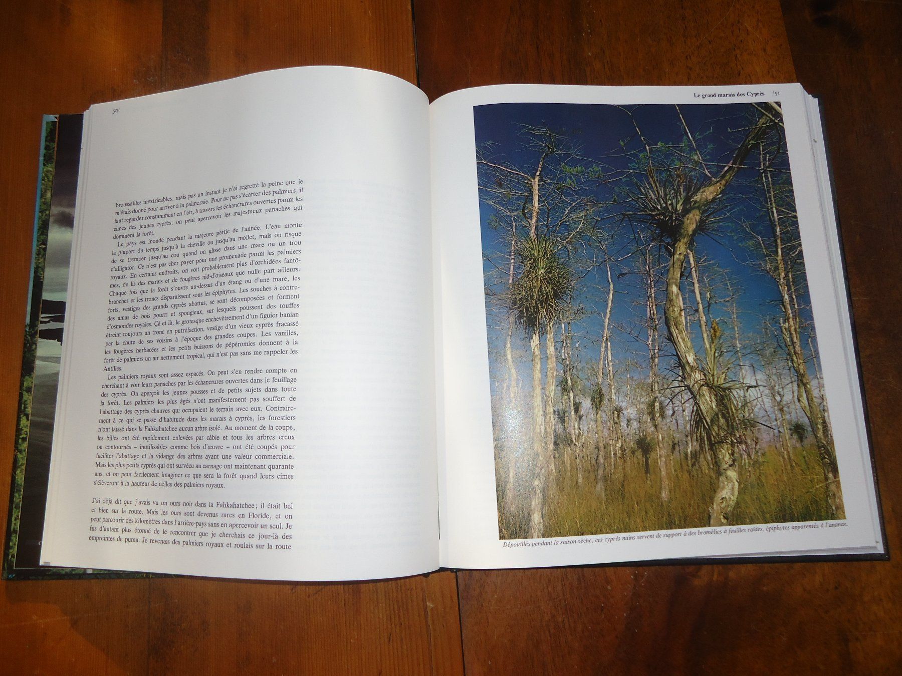 Libri: Les marais de Floride – Usato da Vessy venduto da bm.par 2