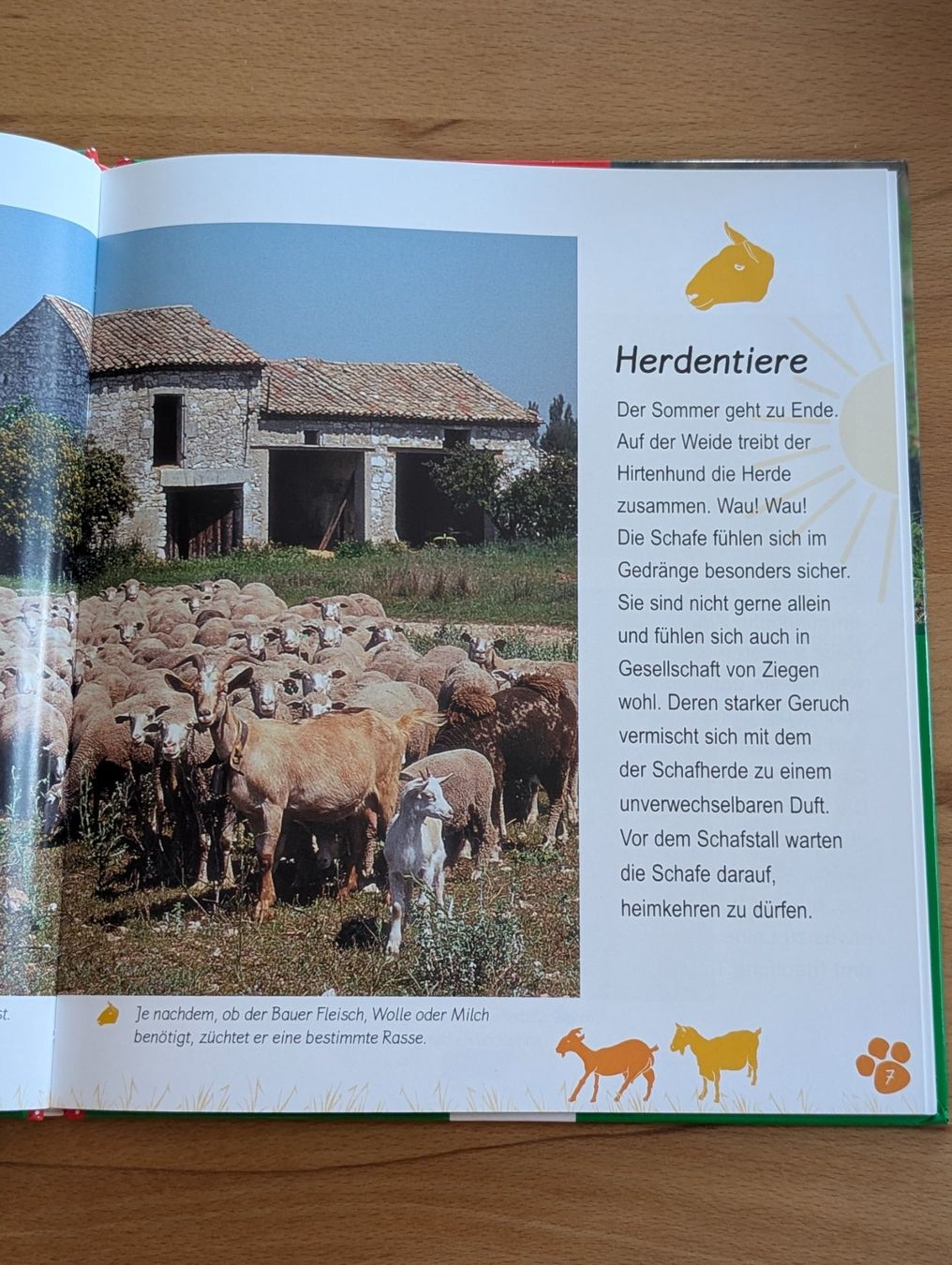 Libri: Sachbuch: Das Schaf/ Esslinger – Usato da Weite venduto da Nur63 1