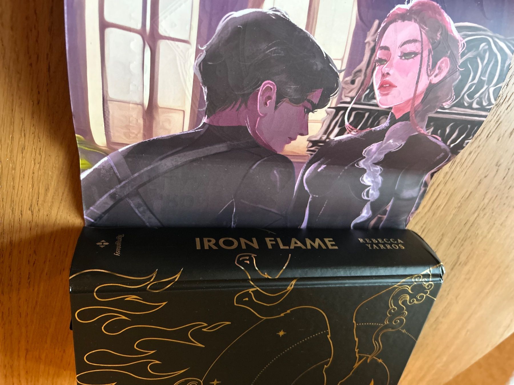 Libri: Livre relié Iron Flame 2 édition spéciale – Nuovo (secondo la descrizione) da Lausanne venduto da noh_gt5x 1