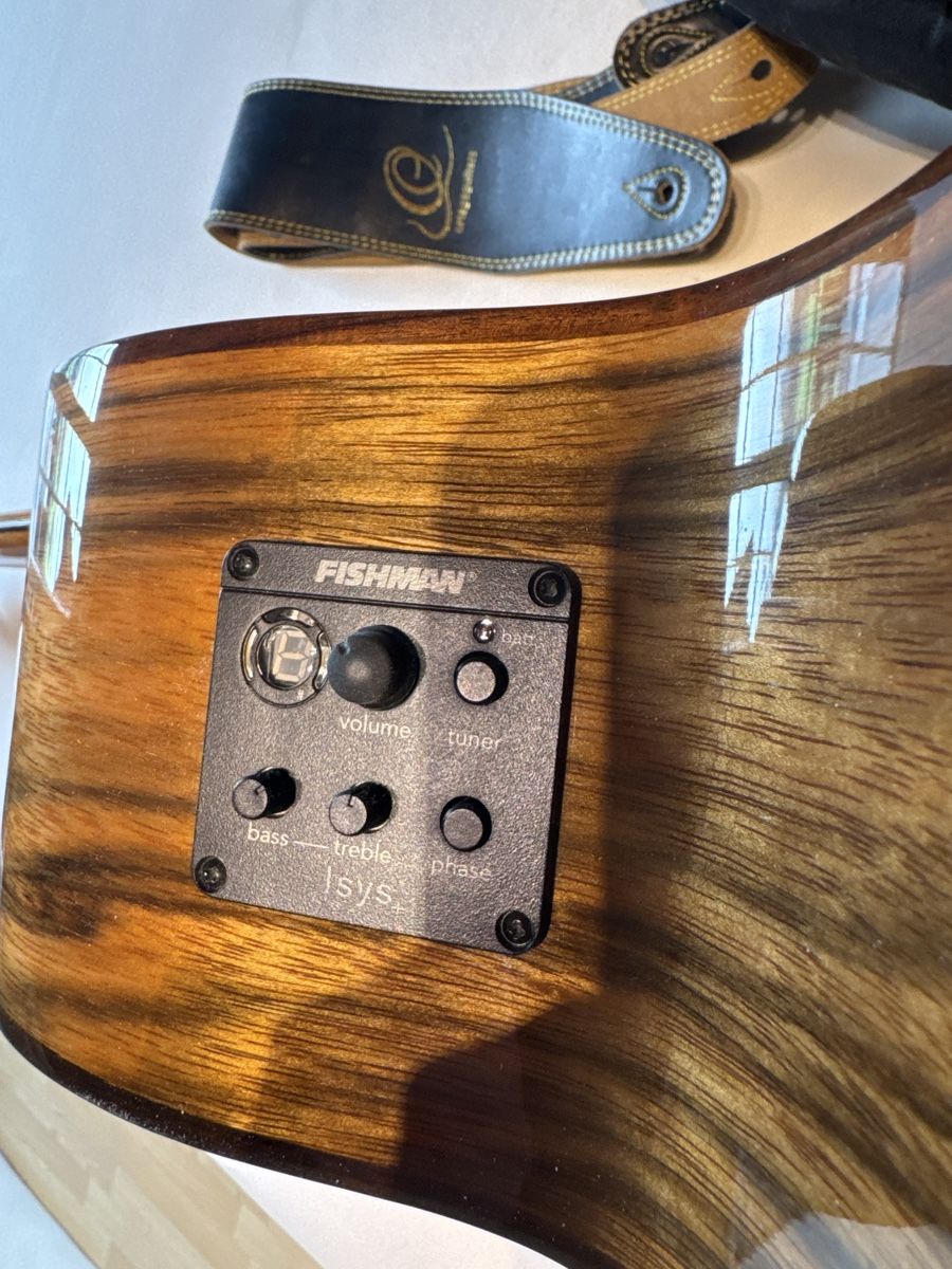 Strumenti musicali: Bass Gitarre Halbakustisch – Usato da Adelboden venduto da gloomer 3