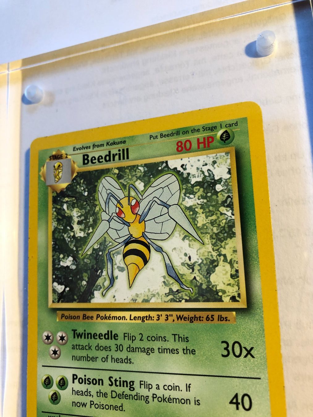 Carte collezionabili: Beedrill (rare) Base set - LP - ab 1.- – Usato da Giubiasco venduto da dan_pr8b 3