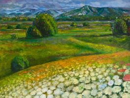 Belpmoos mit Belpberg, Öl auf Leinwand, 80x60cm