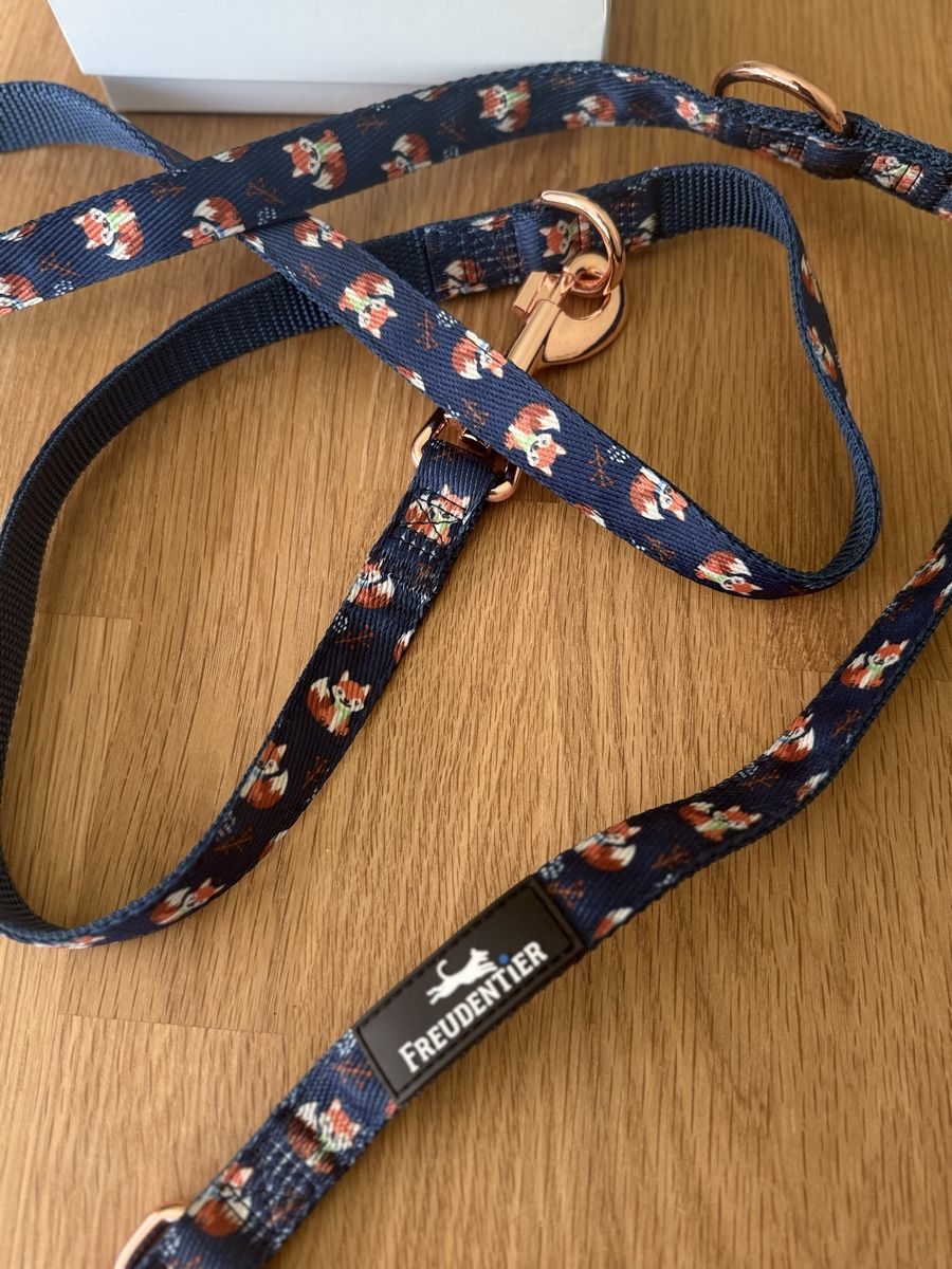 Guinzagli & Collari: Freudentier Hunde-Leine, neumit Fox-Design! – Nuovo (secondo la descrizione) da Thun venduto da sabcar 2