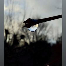 Profile image of Zazu18