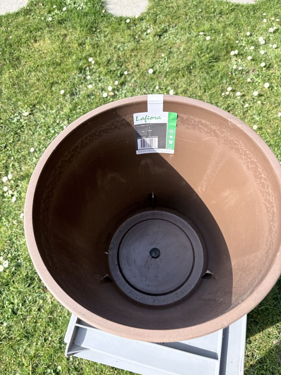 Vasi per fiori: Lafiora Pflanzentöpfe, Gartentöpfe Ø 31cm, Braun – Nuovo (secondo la descrizione) da Eschikofen venduto da Willi6 5