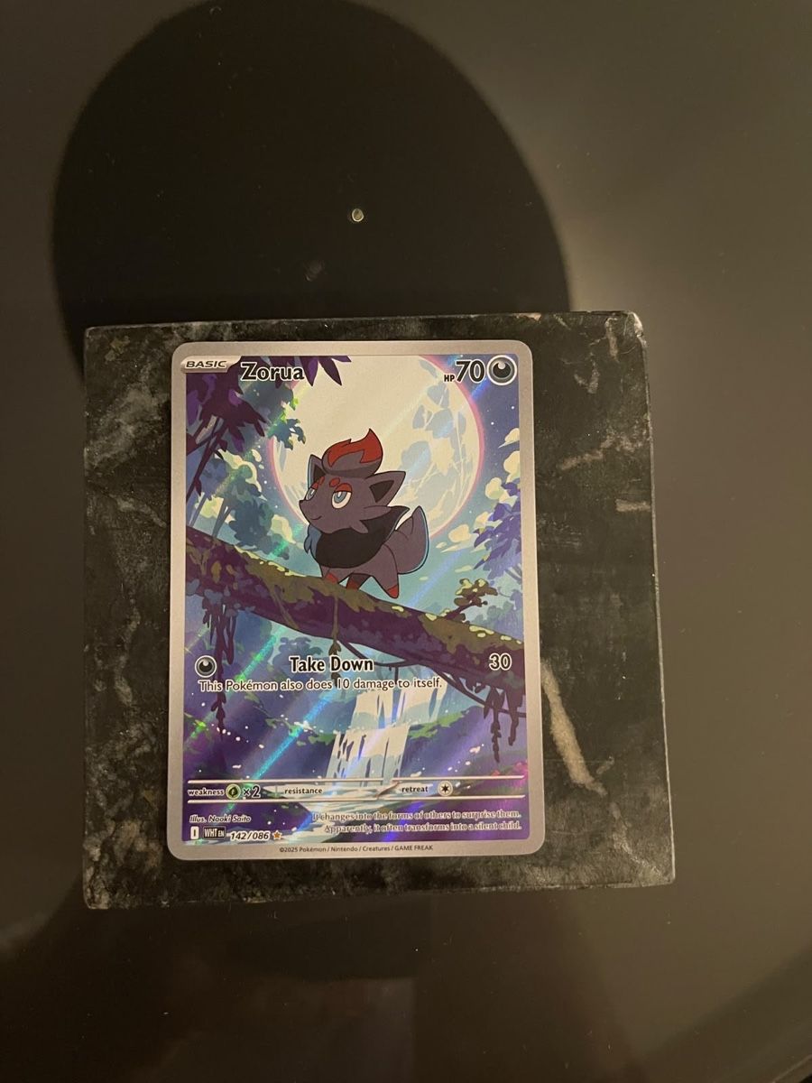 Pokémon Carte collezionabili: Pokèmon Zorua Holo 142/086 – Nuovo (secondo la descrizione) da Beringen venduto da ali_5czt