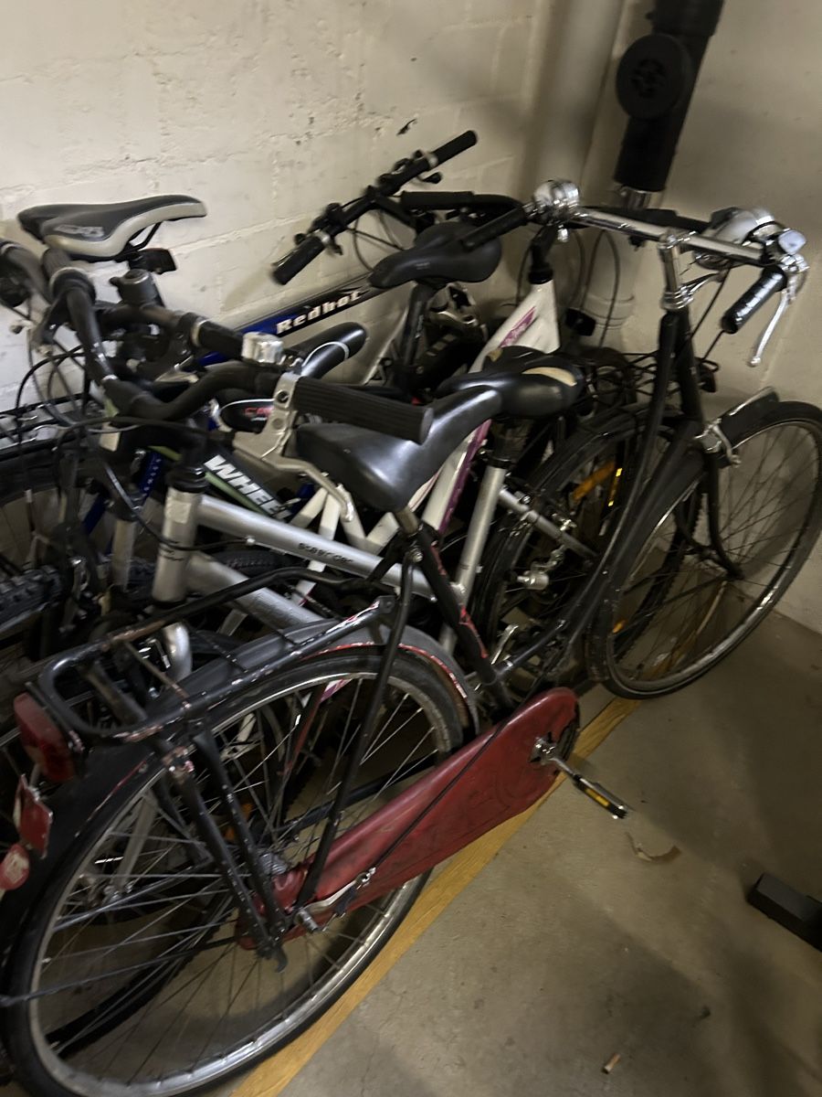 Velos: Export velo – Gebraucht aus Egerkingen von G1970B 6