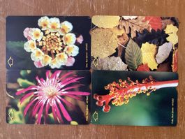 4 Telefonkarten Türkei Blumen
