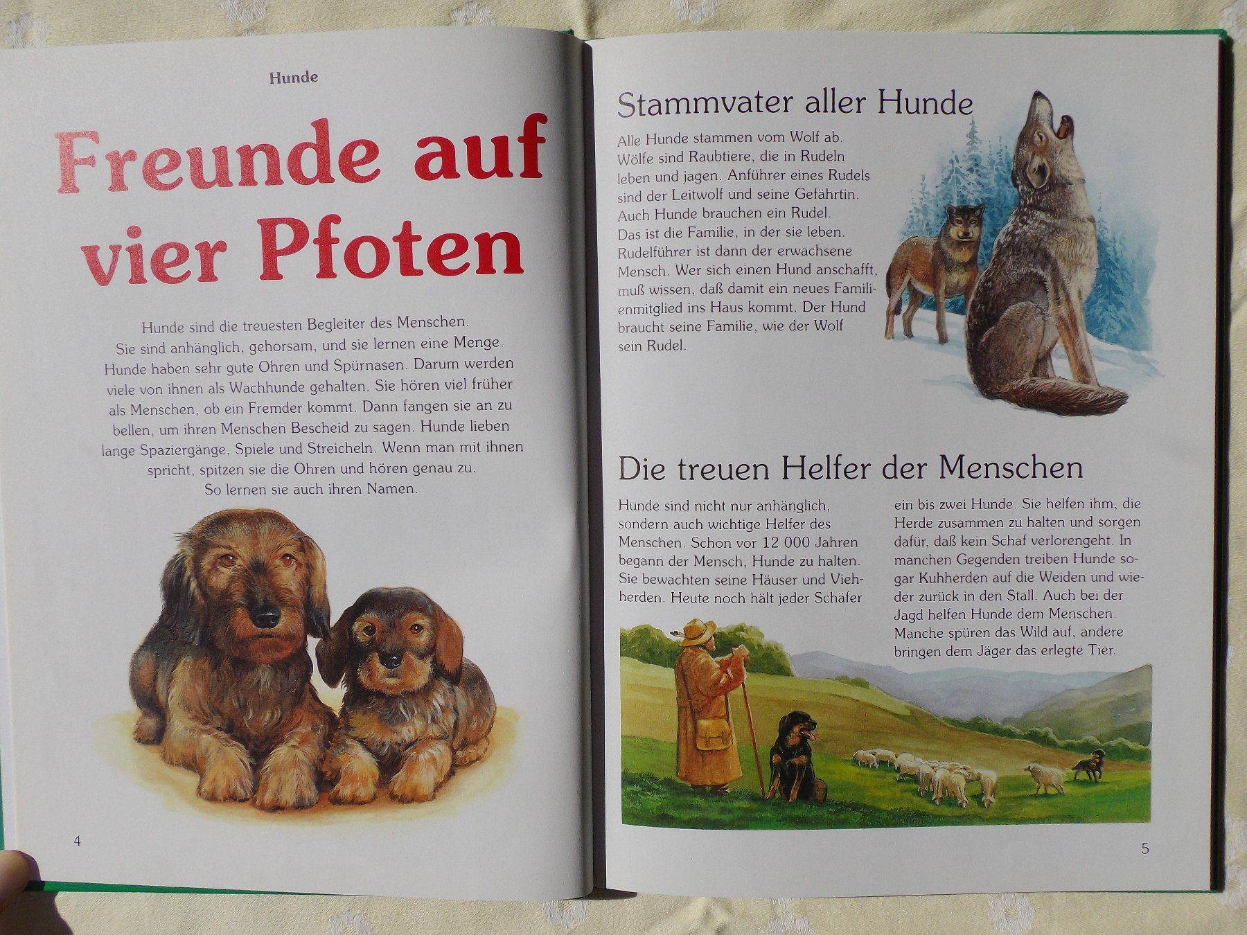 Libri: Tiere im Haus – Usato da Uster venduto da urs_75by 2