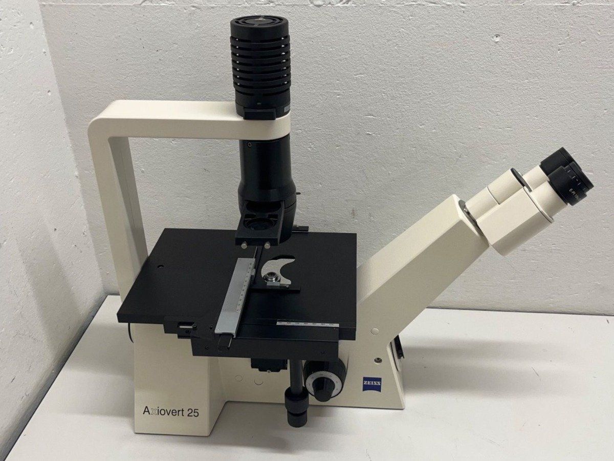 Zeiss Microscopi: Zeiss Axiovert 25 Inversmikroskop mit Phasenkontrast – Usato da Niederdorf venduto da LeptonAG_Labor