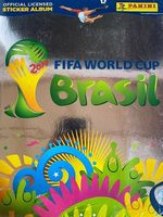 WM 2014 Paninis