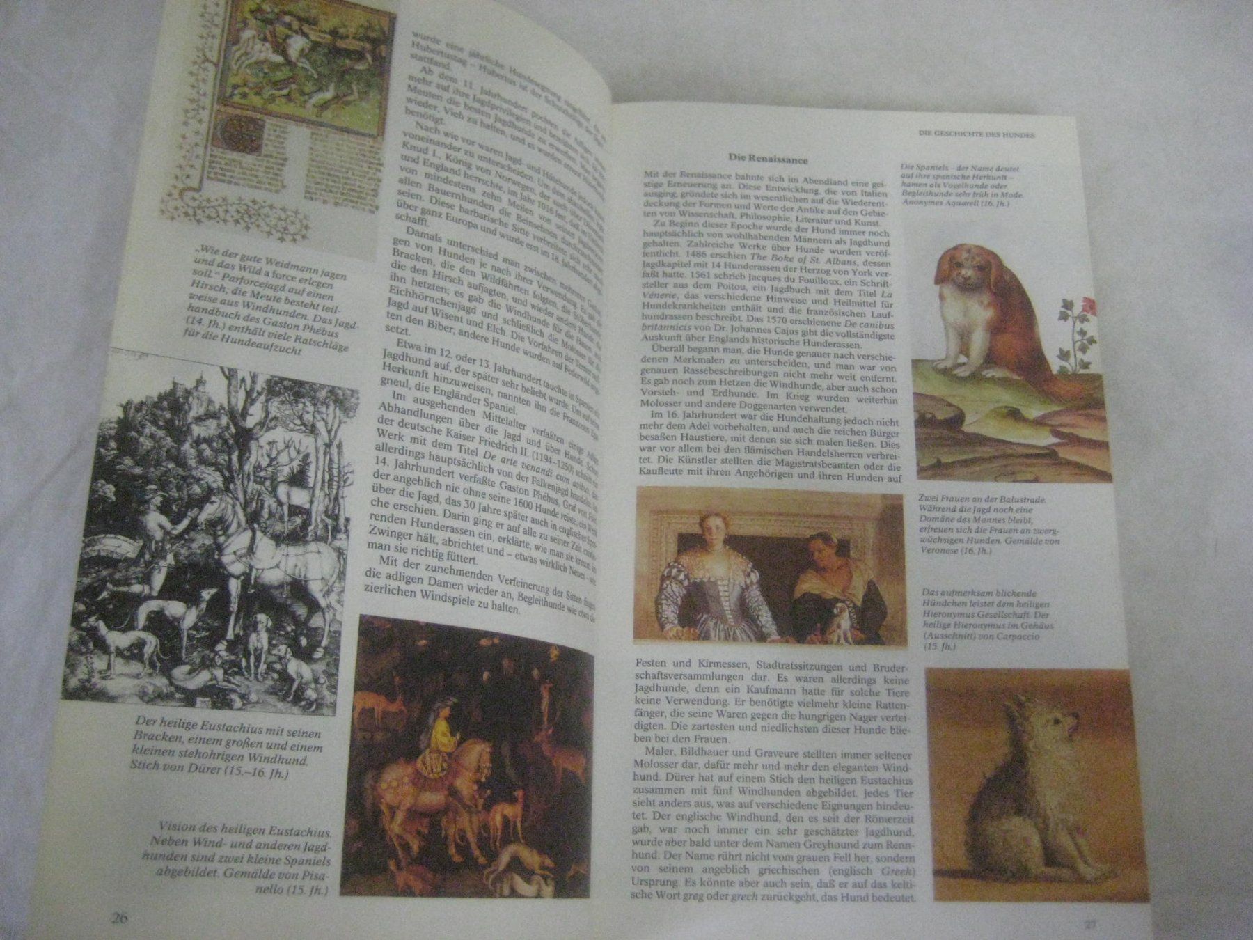 Bücher: HUNDE  BUCH – Gebraucht aus Uster von flocke1 3