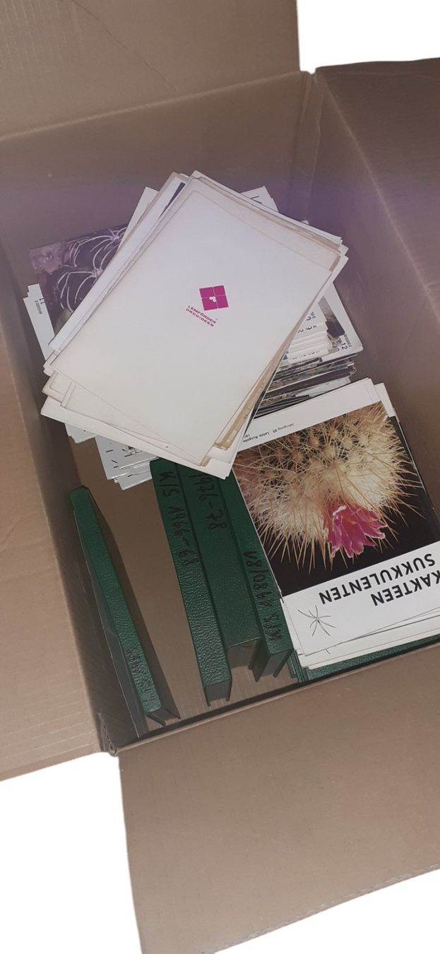 Bücher: Sammlung ca. 300 Kakteenbücher – Gebraucht aus Mörschwil von aik_x8mc 2