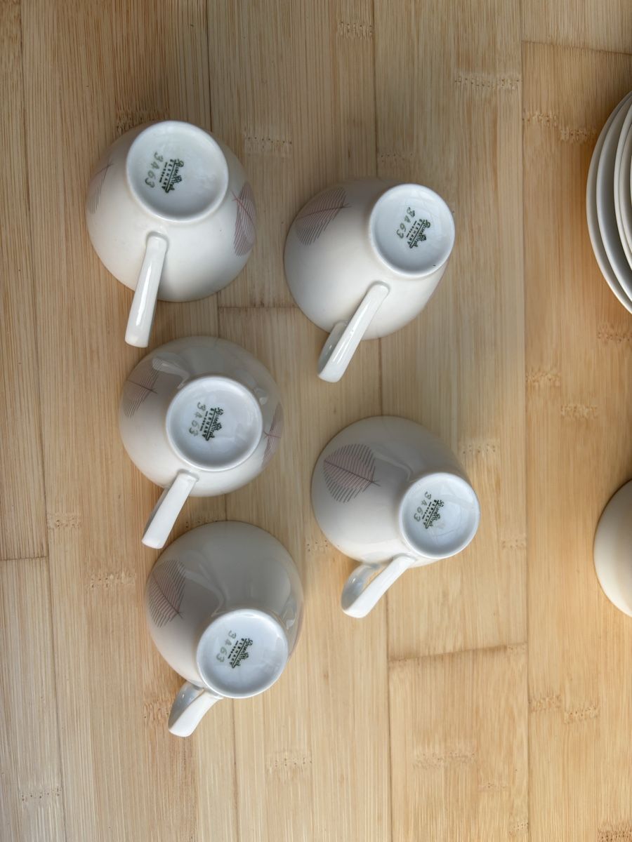 Rosenthal Geschirrsets: Kaffeegeschirr Rosenthal Blattmuster – Gebraucht aus Uster von Bigi01 1