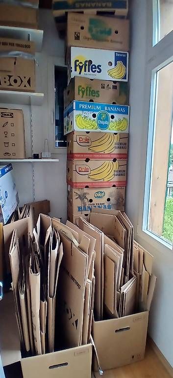 Cartoni: Zügelkarton – Usato da Wald ZH venduto da dan_2skd