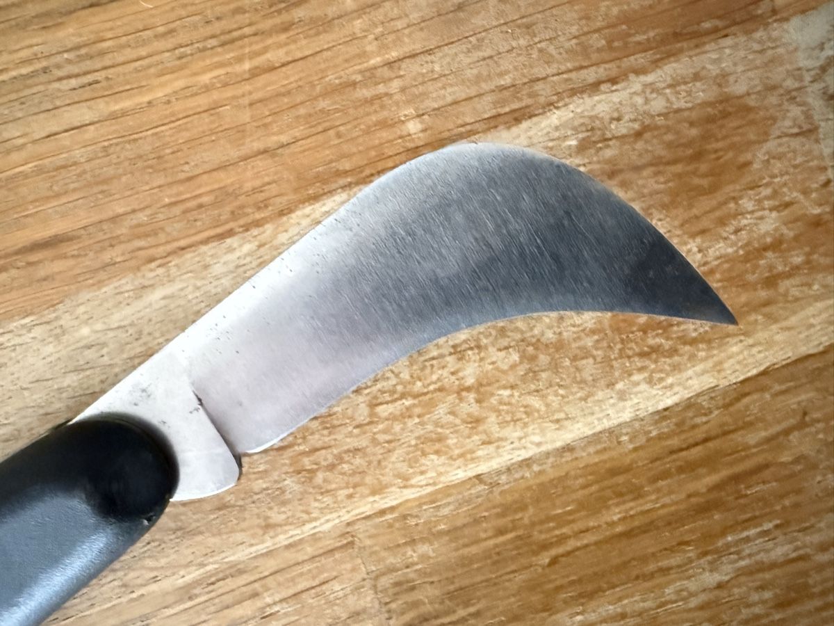 Taschenmesser: GECO Taschenmesser Sackmesser Hippe Veredlungsmesser – Gebraucht aus Goldach von Messerguru 5