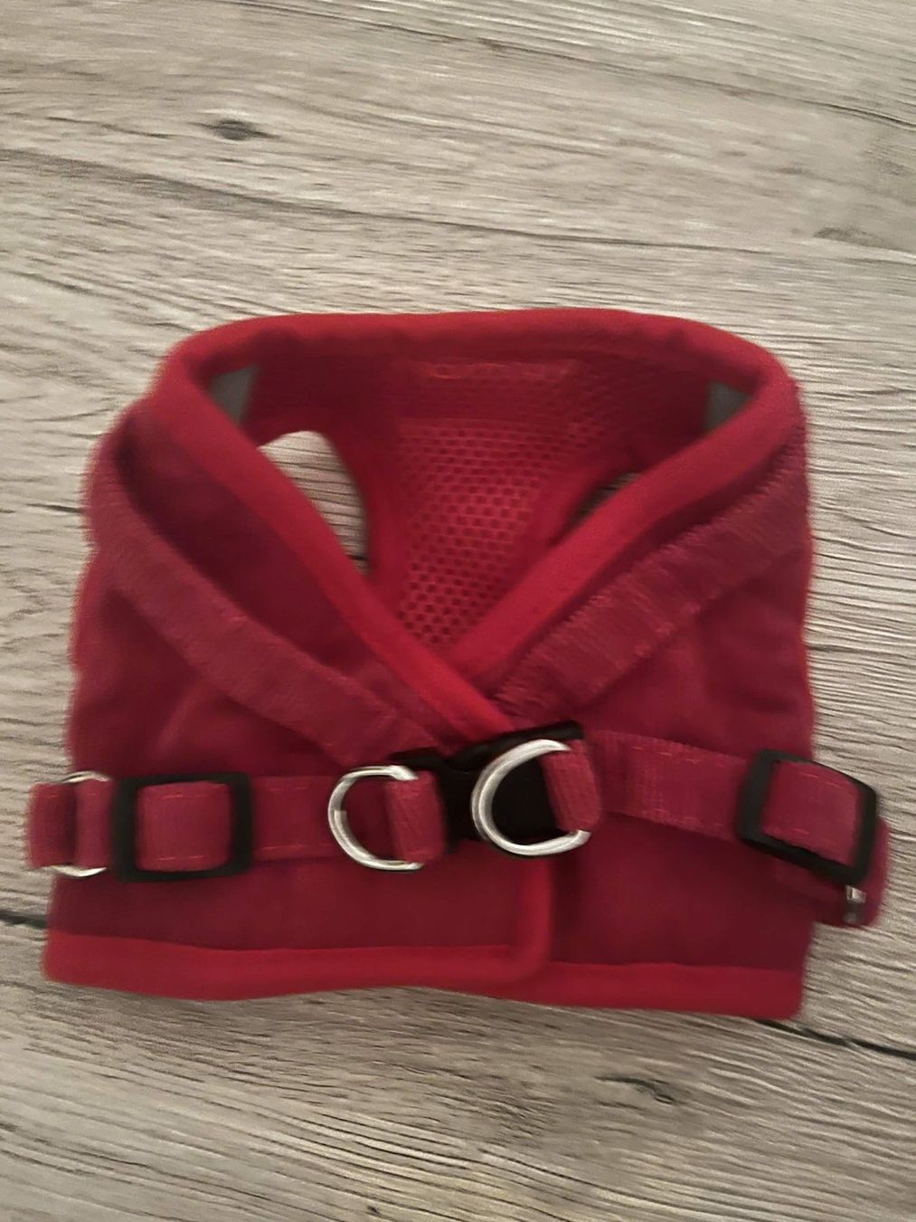 Attrezzatura da arrampicata: Harnais rouge pour chien DUOMM - S – Nuovo (secondo la descrizione) da Genève venduto da Isa_ventes