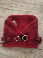 Harnais rouge pour chien DUOMM - S