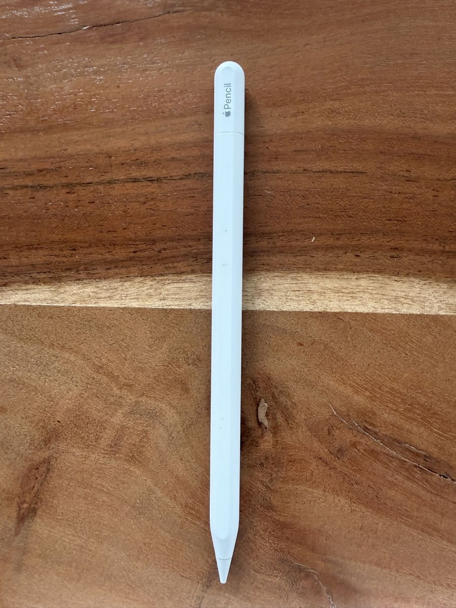 Apple Tablet PC: Apple Pencil (USB-C) – Usato da Goldach venduto da rei_6wpw 3